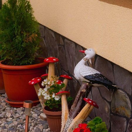 فندق Casa Pop Săpînţa المظهر الخارجي الصورة